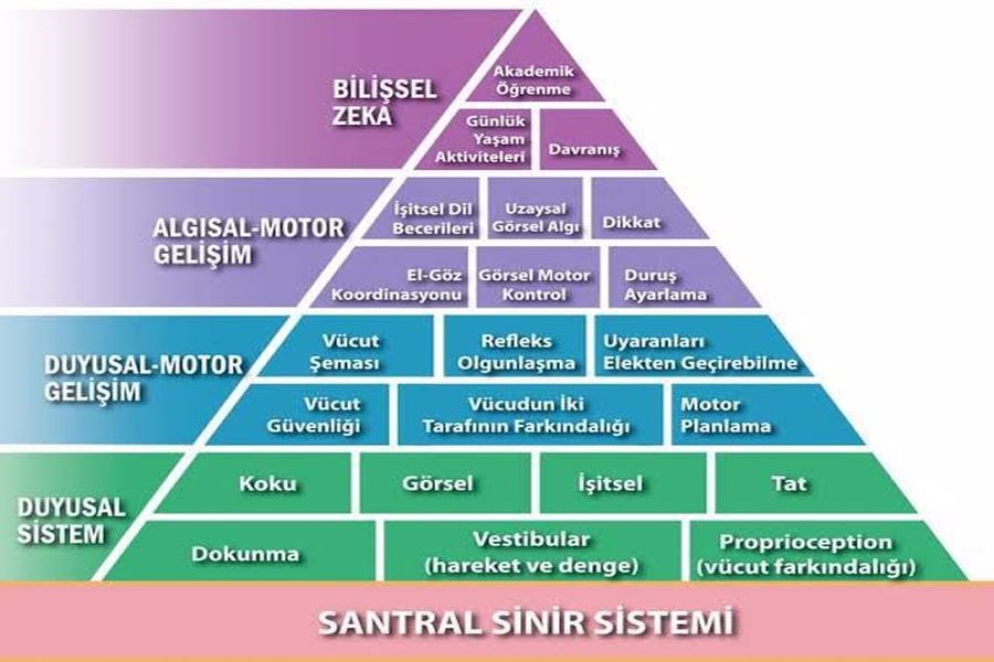 şekil-1